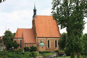 Catedrala din Bydgoszcz