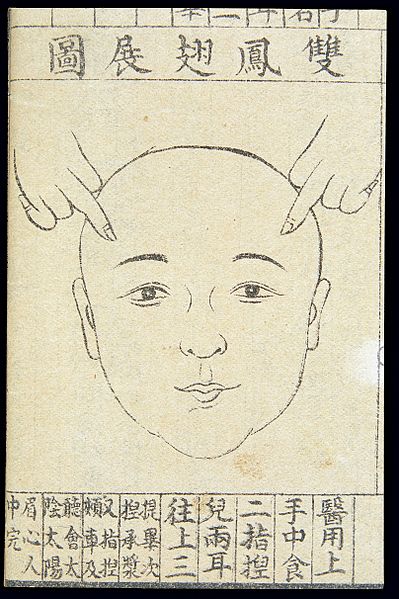 File:C20 Chinese medical illustration in trad. style; Face massage Wellcome L0039650.jpg