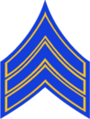 CO - SP Sergeant Stripes.png
