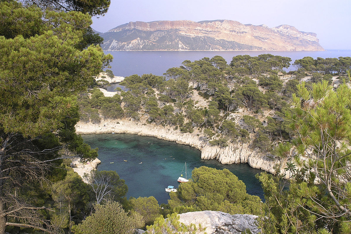 rear Self-respect rely File:Calanque Port Pin.jpg - Wikimedia Commons