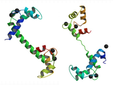 De PDB