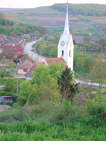 File:Calvinist church nasal retusat.jpg