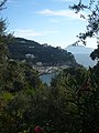 Capri au large - panoramio.jpg