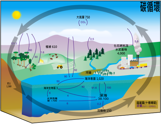 File:Carbon cycle-cute diagram zh-hant.svg