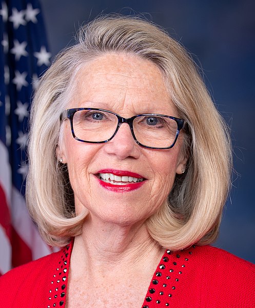 File:Carol Miller, Official Portrait, 116th Congress (cropped).jpg