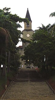 Miniatura para Leopoldina (Minas Gerais)