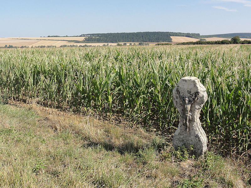 File:Charny-sur-Meuse (Meuse) paysage avec croix de chemin.JPG