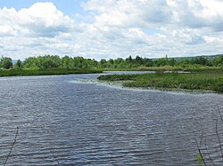 Marais de la Rivière aux Cerises things to do in Sherbrooke