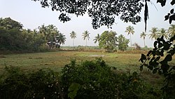 Rural landscape