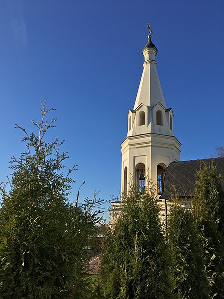 File:Church of the Theotokos of Tikhvin, Troitsk - 3522.jpg