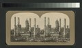 City Hall, Photographer in foreground. Tall brick chimneys left standing (NYPL b11707478-G90F002 089F).tiff