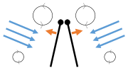Clap 2: leading edges touch, wing rotates around leading edge, vortices form