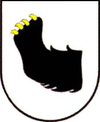 Wappen von Mragowo