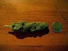 Cocotte de cannabis-edit.jpg