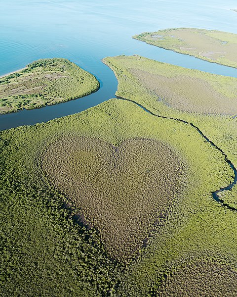 File:Coeur de Voh.jpg