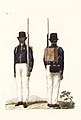 Colonial Guides of Surinam (1823).jpg