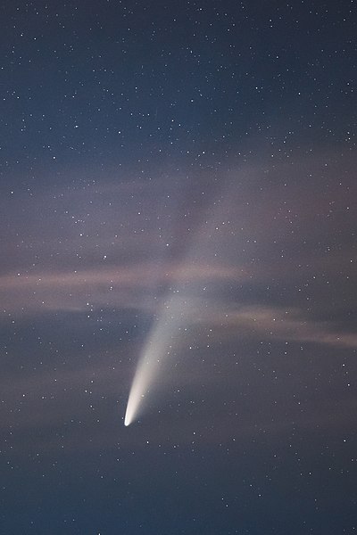 File:Comet NEOWISE above Strzelce Dolne.jpg