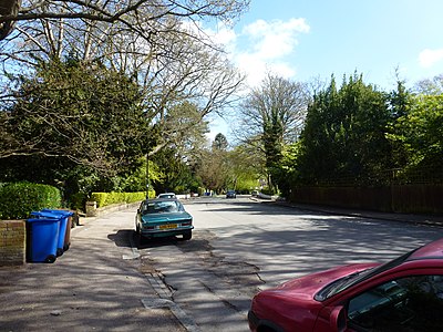 Sydenham Hill