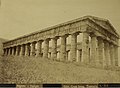 252 - Segesta - Tempio.