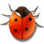 Bug!