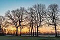 Dülmen, Dernekamp, Sonnenaufgang -- 2021 -- 6959-61.jpg