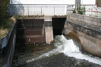 Lendersdorfer Mühlenteich in the area of ​​the Boisdorfer Mühle in Düren (OT Lendersdorf)