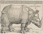 Albrecht Dürer: Rinocérosz