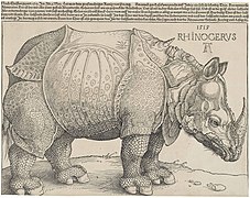 Nosorožec (1515), Albrecht Dürer, Britské muzeum, Londýn