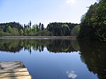 Jägerweiher (Neukirch)