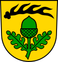 Brasão de Pliezhausen