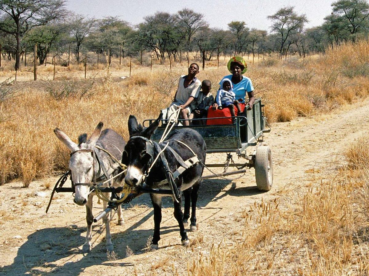 namibian people culture