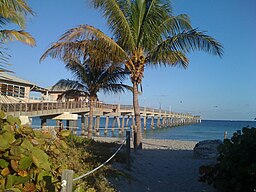 Strand och pir i Dania Beach