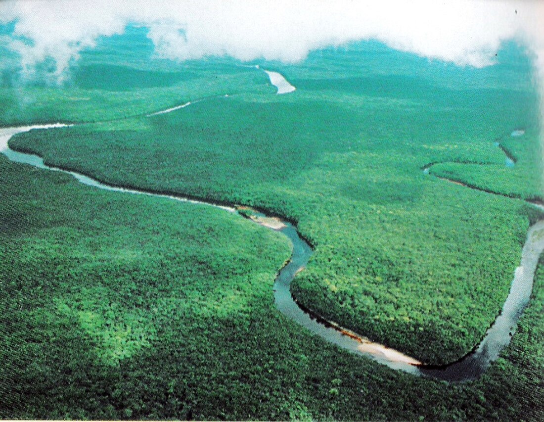 File:Deltaorinoco.jpg