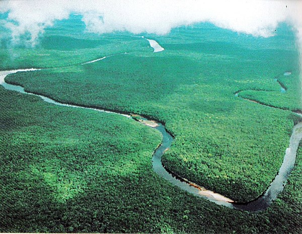 Panorama of the Orinoco River