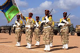 Djibouti leger staat op attention.jpg