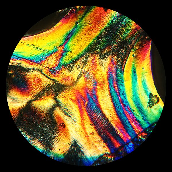 File:Dna in polarization light.jpg