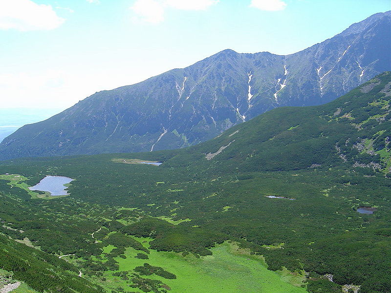 File:Dolina Bielych plies.jpg