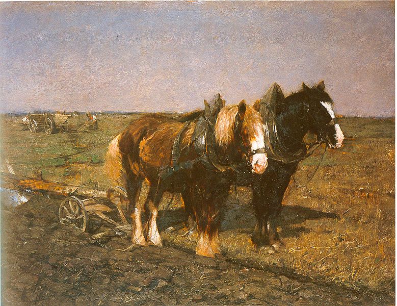 File:Eckenfelder E4 1883-1888.jpg