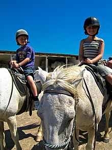 Enfants apprenant l'équitation en Camargue.jpg