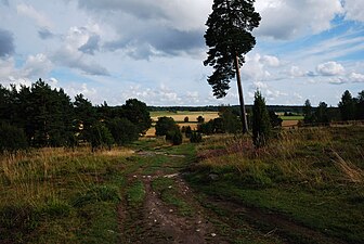 Hågadalen-Nåstens Naturreservat: Historik, Predikstolen, Galleri