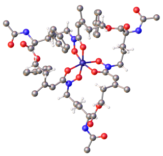 Siderophore Low-molecular-weight compounds produced by microorganisms and plants that aid in the transport and sequestration of iron