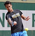 Miniatură pentru Fabio Fognini