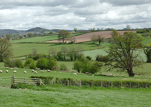 Farmland west of Weobley, Herefordshire - geograph.org.uk - 2922719