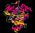 Vignette pour Ferrédoxine-nitrite réductase