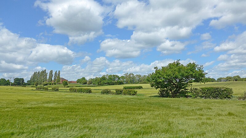 File:Fields between South Hiendley and Felkirk (18350155608).jpg