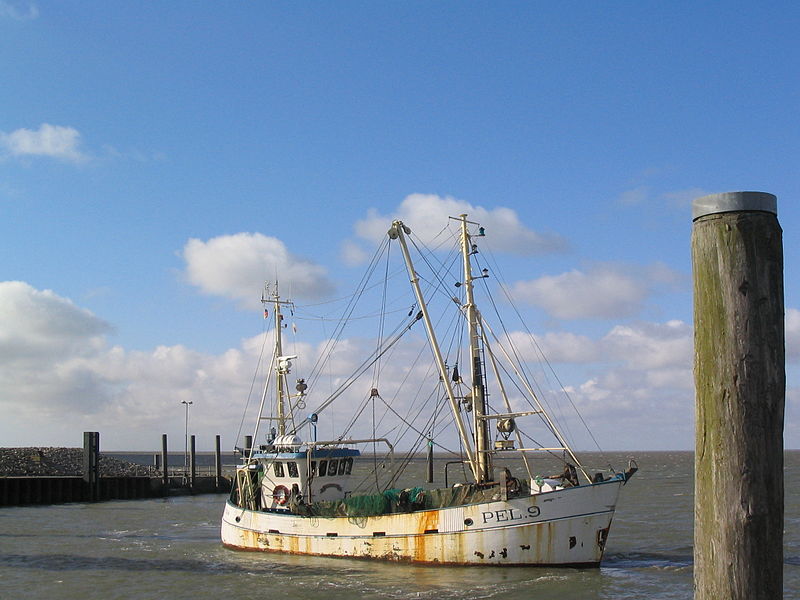 File:Fischkutterquerinhafen.jpg