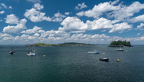 Fishing boats with Treat Island, Dudley Island and Popes Folly in the background, Lubec, Maine, US