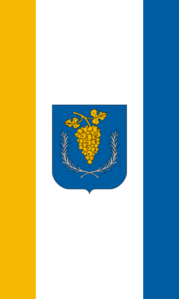 File:Flag of Bódvaszilas (vertical).svg