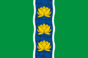Flag of Kuvshinovsky District
