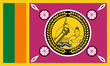 Flagge der Nord-Zentralprovinz (Sri Lanka) .PNG